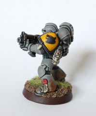 First Grey Hunter Side 2.jpg