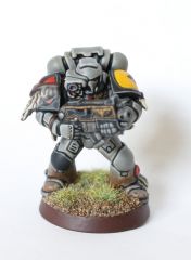 First Grey Hunter Front.jpg