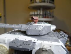 Predpanther1 004.JPG