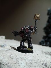 chaplain back