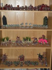 Model Shelf: Word Bearers, Necrons, Tyranids, Orks