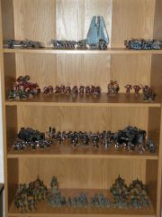 Model Shelf: Space Wolves, Blood Ravens, Black Templars, IG