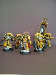 Imperial Fists Honour Guard