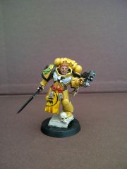 Imperial Fists Honour Guard Space Marine II