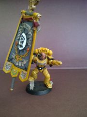 Imperial fists Honour Guard Chapter Banner