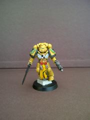 Imperial Fists Honour Guard Space Marine III