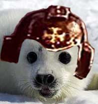 Crusader Seal Avatar.jpg