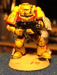 Imperial Fist's