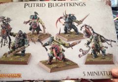 Putrid Blightkings box
