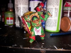 Salamanders praetor front