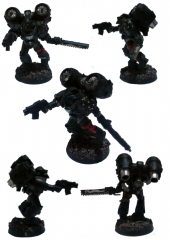 19   Raven Guard