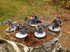 Wolf Guard Terminators