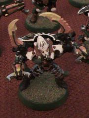 Warp Spiders Exarch