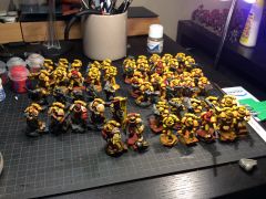 Imperial Fists 3rd Company