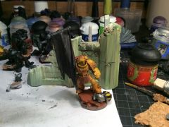 IF Standard bearer wip 1