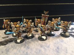 Palatines/Command squad (sanguinary guard)