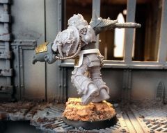 berzerker champion 01