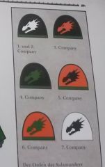 salamanders companies