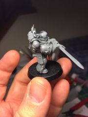 Blood Angel Champion