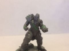 Ogryn1