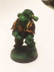 Salamander marine WIP front