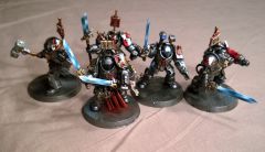 Grey Knights Paladins Or Termies