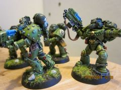 Sternguards with combi plasma