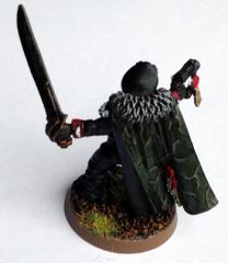 Lord Commissar back