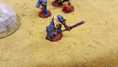 20 Champion Rosas with combi melta And power sword poses For The camera