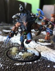 Wulfen (3)