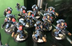 Space Wolves Grey Hunters Melta