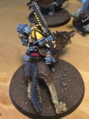 Space Wolves WIP Feb 2016 (17)