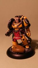 Heresy Imperial Fist (6)