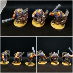Bullgryns finished 2