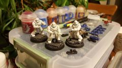 sprayed and standing on their bases
