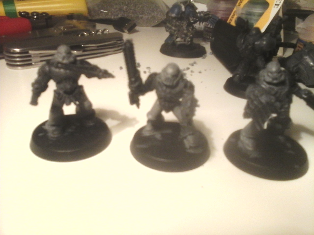 Shadow Wolves Warband