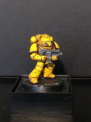 Imperial Fists Test Model