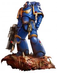 primaris