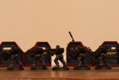 Bolter Scouts 2