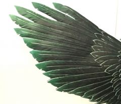 Magnus wings 3
