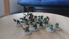 Grots