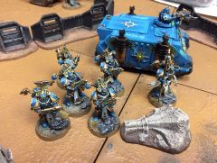 Prots Scarabs And Rhino 1