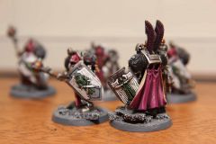 Guardians of the Covenant Knights 3