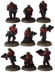 Bolter-Acolytes