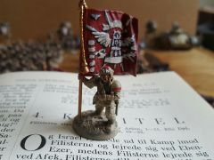1 of 3 Platoon Standars in my army.