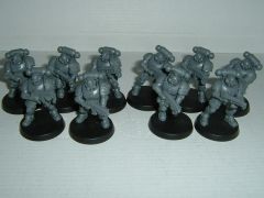 DW Reivers 2