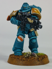 New Primaris