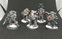 Grey Hunters/Veteran Tacticals