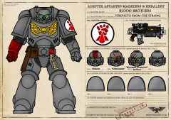 Primaris Marines template