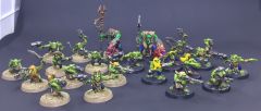 20 Grots and Runtherds